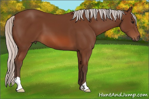 Horse Color: Silver Bay 