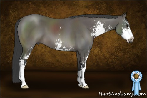 Horse Color: Black Sabino 