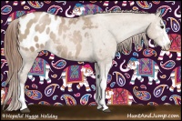 Horse Color:Grullo Pearl Sabino Appaloosa Rabicano