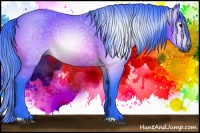 Horse Color:Gray Watercolor Bay 