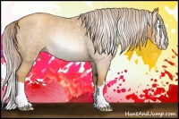 Horse Color:Gray Gold Cream Champagne Roan Splash Rabicano 
