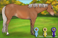 Horse Color:Silver Bay 