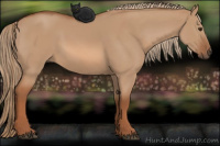 Horse Color:Liver Red Dun 