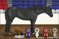Horse Color:Black Rabicano