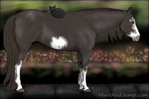 Horse Color: White Spotted Liver Chestnut Frame 