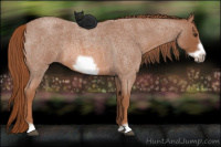 Horse Color:Red Roan Frame 