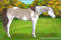 Horse Color:White Spotted Classic Champagne Splash Tobiano 