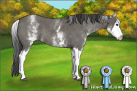 Horse Color:White Spotted Grullo Roan Splash Rabicano