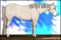 Horse Color:Buckskin Splash Varnish 