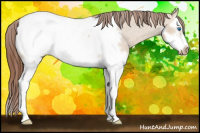 Horse Color:Red Dun Splash Frame Snowcap 