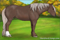 Horse Color:Silver Black 
