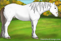 Horse Color:Plaid White Spotted Bay