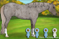 Horse Color:Silver Blue Roan 