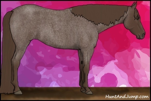 Horse Color: Liver Red Roan 