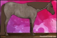 Horse Color:Liver Red Roan 
