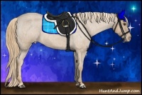 Horse Color:Red Roan Varnish