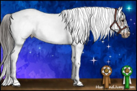 Horse Color:White Spotted Bay Splash Frame Rabicano