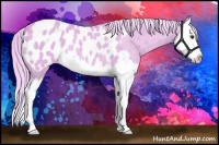Horse Color:Watercolor Palomino Roan Splash Blanket Rabicano 