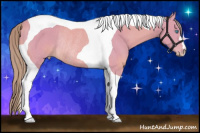 Horse Color:Watercolor Perlino Tobiano Rabicano 