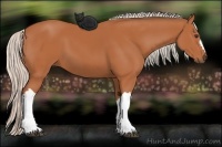 Horse Color:Silver Bay 