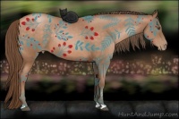 Horse Color:Bay Pearl 