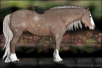 Horse Color:Silver Blue Roan Splash 