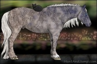 Horse Color:Cremello Ice Rabicano 