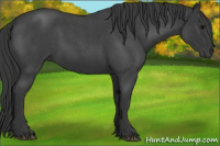 Horse Color:Brown Roan 