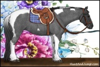 Horse Color:Blue Roan Tobiano 