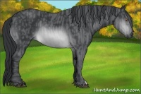 Horse Color:Brown Chinchilla  Brindle