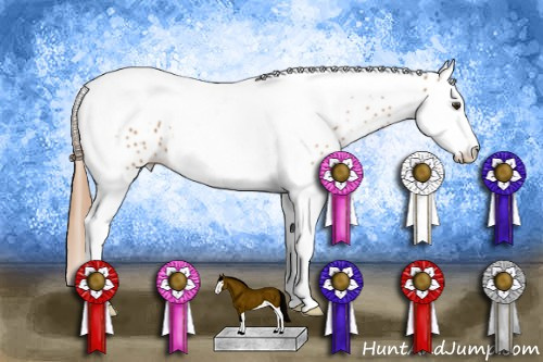 Horse Color: Chestnut Splash Tobiano Leopard 