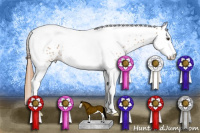 Horse Color:Chestnut Splash Tobiano Leopard 
