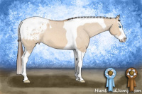 Horse Color:Bay Dun Splash Tobiano Blanket 