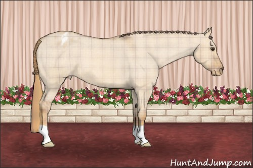 Horse Color: Plaid  Red Dun Roan Blanket 