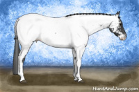 Horse Color:Blue Roan Tobiano Near Fewspot Rabicano 