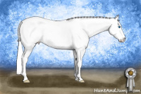 Horse Color:Blue Roan Splash Tobiano Appaloosa