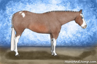 Horse Color:Silver Bay Splash Appaloosa 