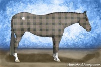 Horse Color:Plaid Black Appaloosa
