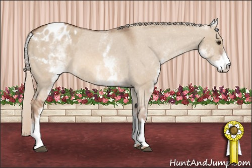 Horse Color: White Spotted Red Dun Roan Blanket 