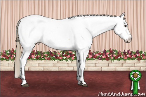 Horse Color: Buckskin Near Fewspot 