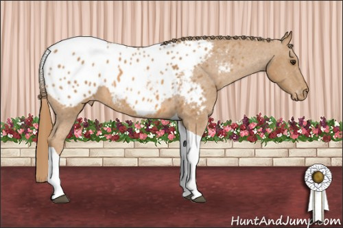 Horse Color: Chestnut Tobiano Blanket 