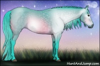 Horse Color:Gray Watercolor Bay 