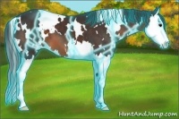 Horse Color:Thunderstruck White Spotted Brown Splash 
