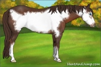 Horse Color:Liver Chestnut Frame 