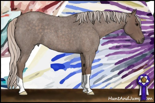 Horse Color: Silver Brown Roan 