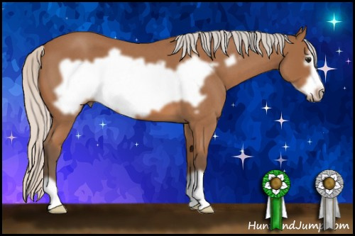 Horse Color: Silver Bay Roan Frame 