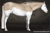 Horse Color:Chocolate Palomino Pearl Splash
