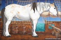 Horse Color:Buckskin Sabino