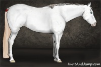Horse Color:Smoky Blue Ice Roan Pearl Frame Near Leopard 