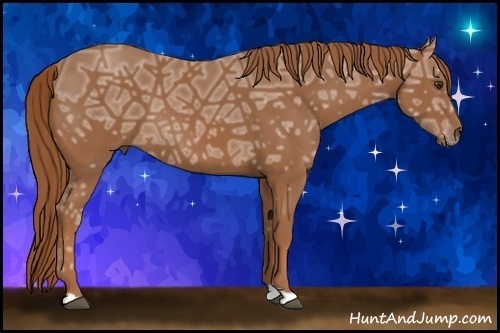 Horse Color: Chestnut Ice 